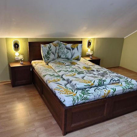 Vis Pension Viile Satu Mare Exterior foto