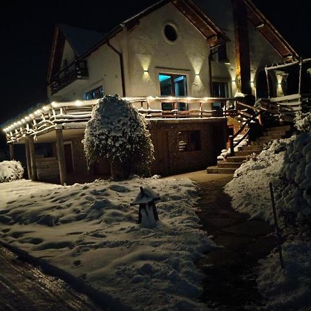 Vis Pension Viile Satu Mare Exterior foto