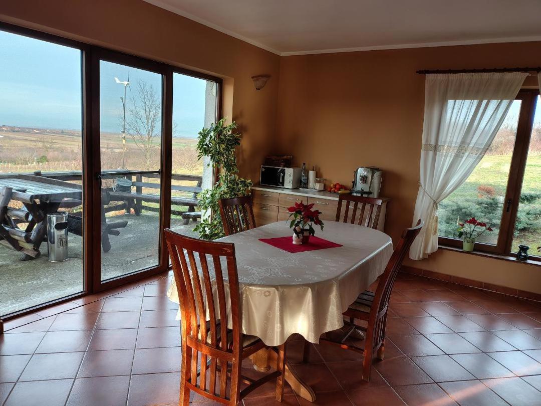 Vis Pension Viile Satu Mare Exterior foto