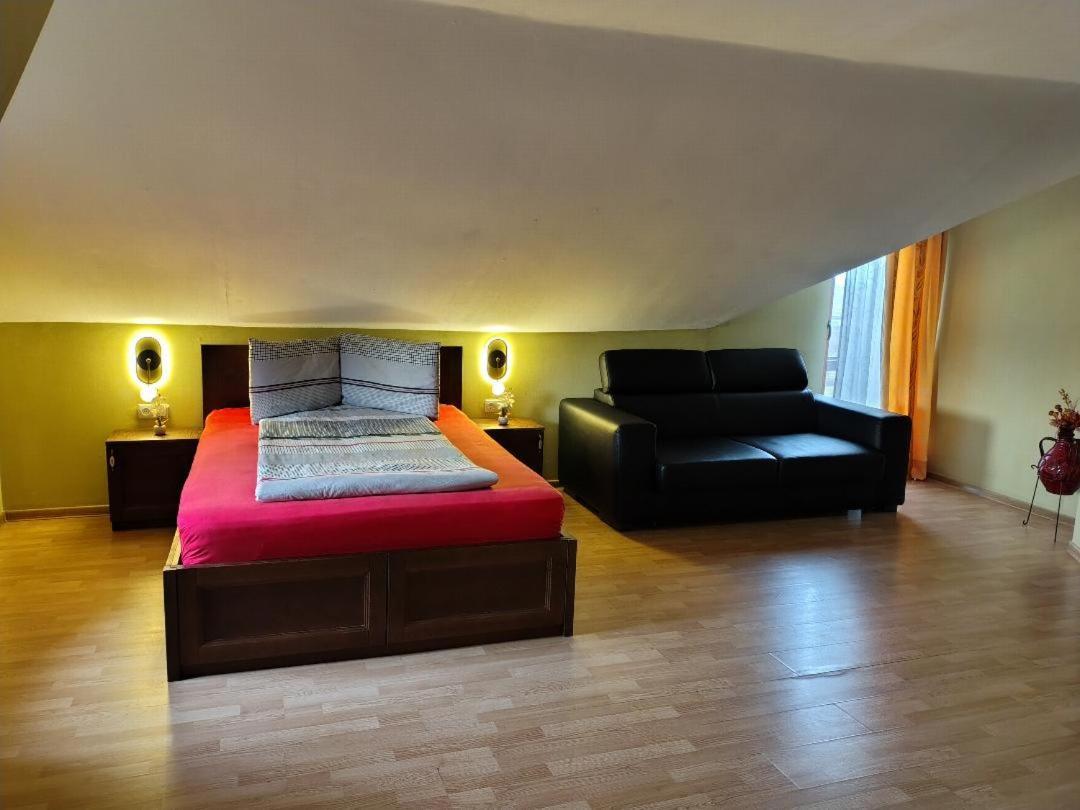 Vis Pension Viile Satu Mare Exterior foto