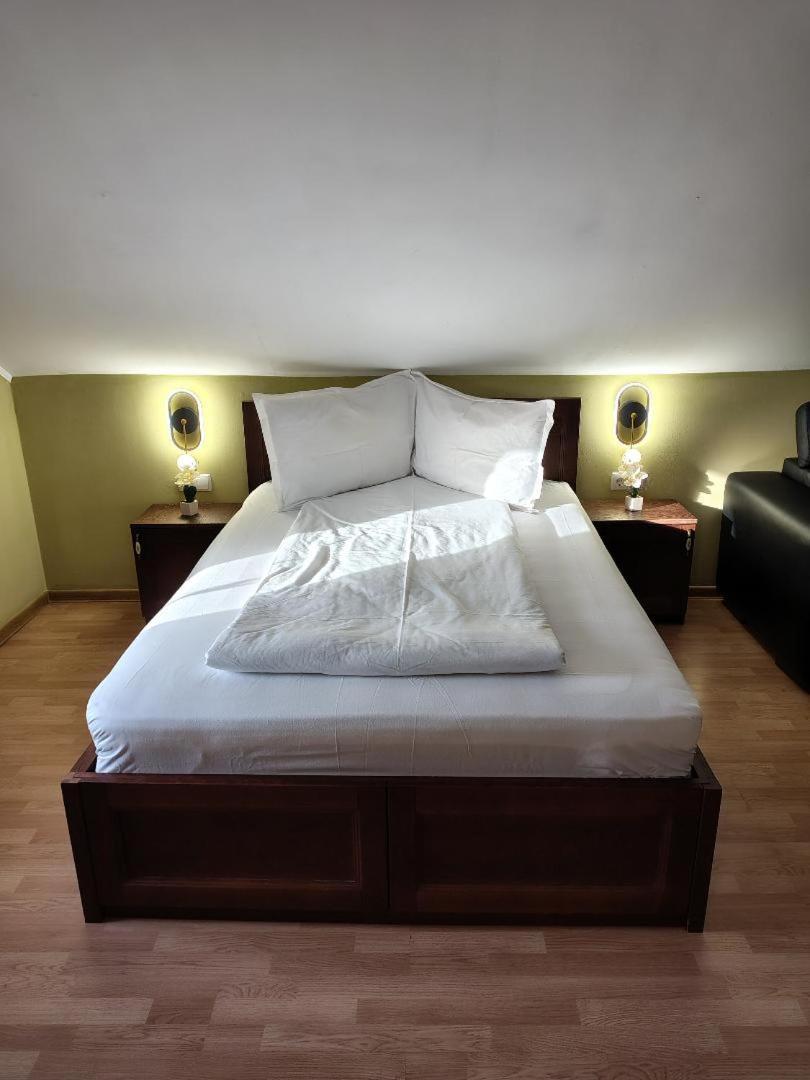 Vis Pension Viile Satu Mare Exterior foto