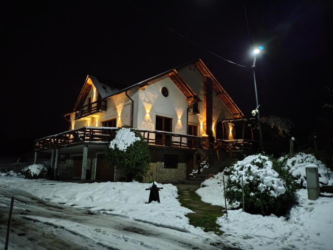 Vis Pension Viile Satu Mare Exterior foto