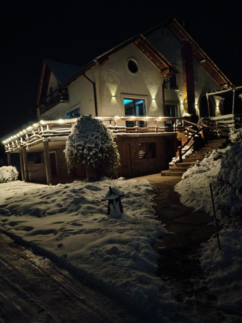 Vis Pension Viile Satu Mare Exterior foto
