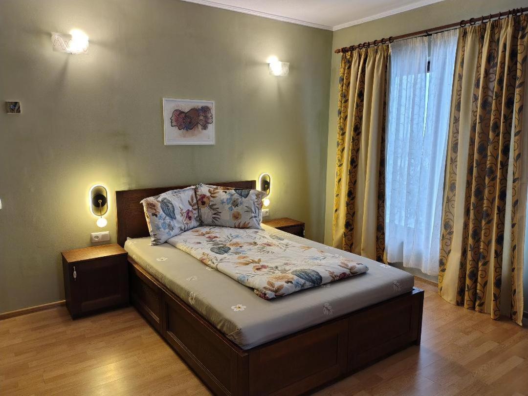 Vis Pension Viile Satu Mare Exterior foto