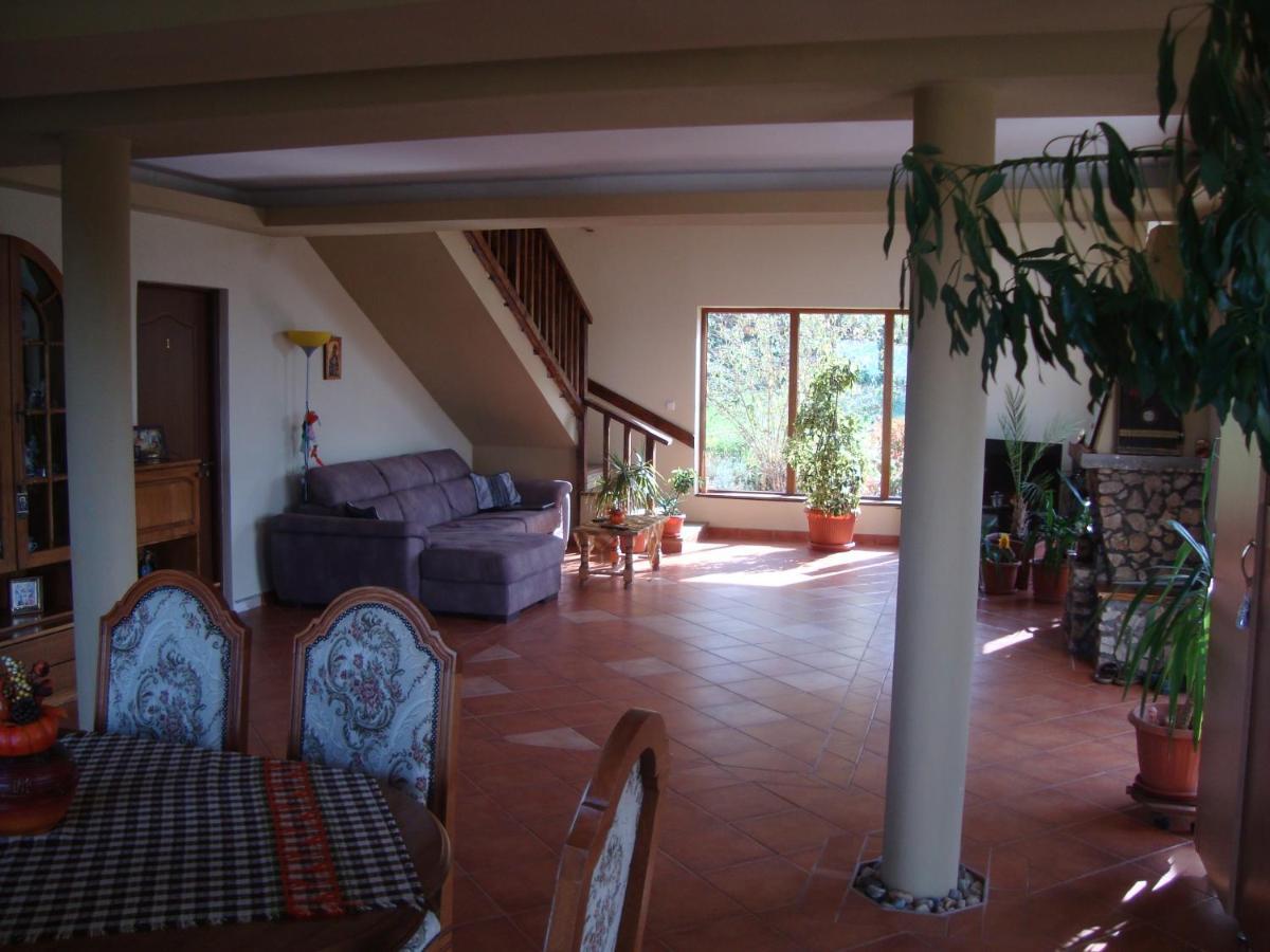 Vis Pension Viile Satu Mare Exterior foto