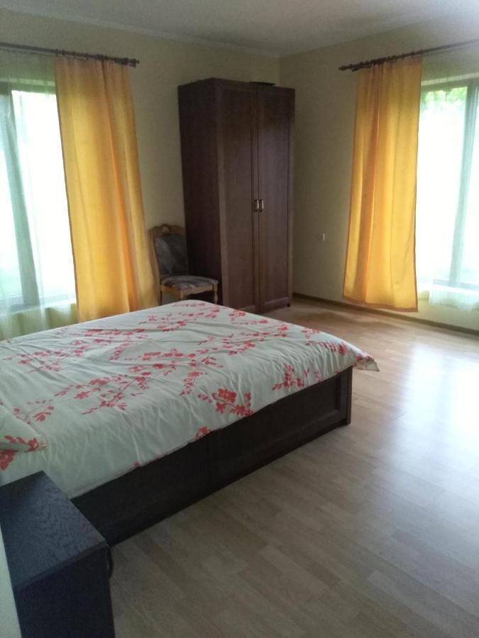 Vis Pension Viile Satu Mare Exterior foto