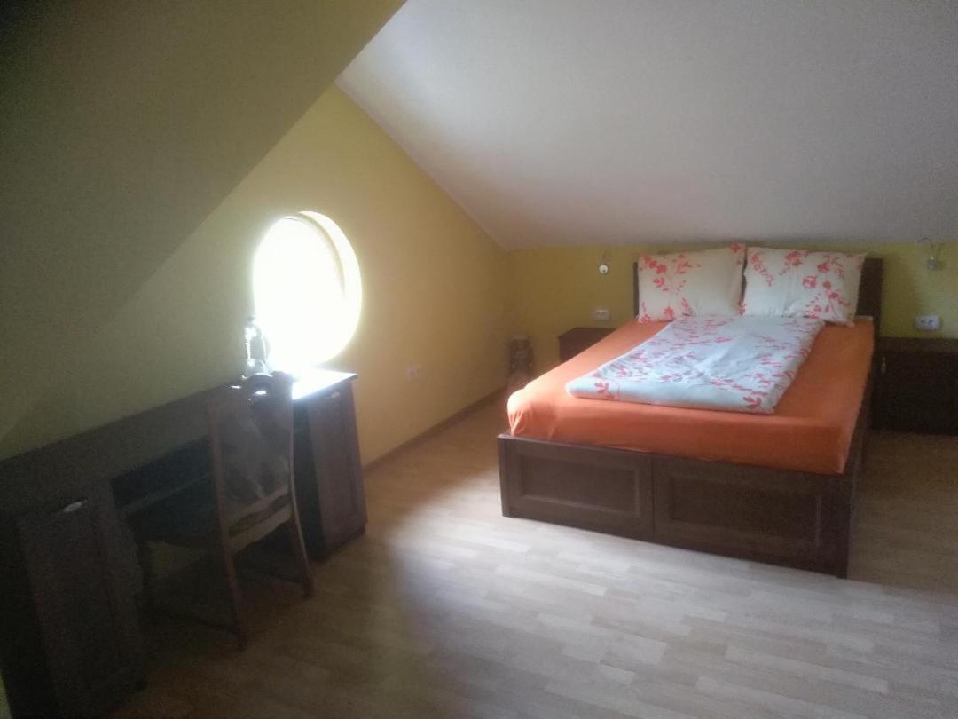 Vis Pension Viile Satu Mare Exterior foto
