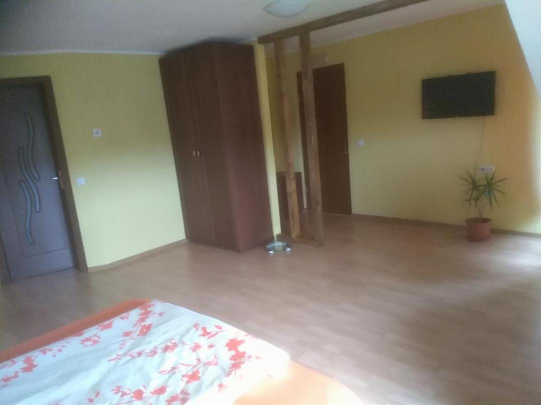 Vis Pension Viile Satu Mare Exterior foto